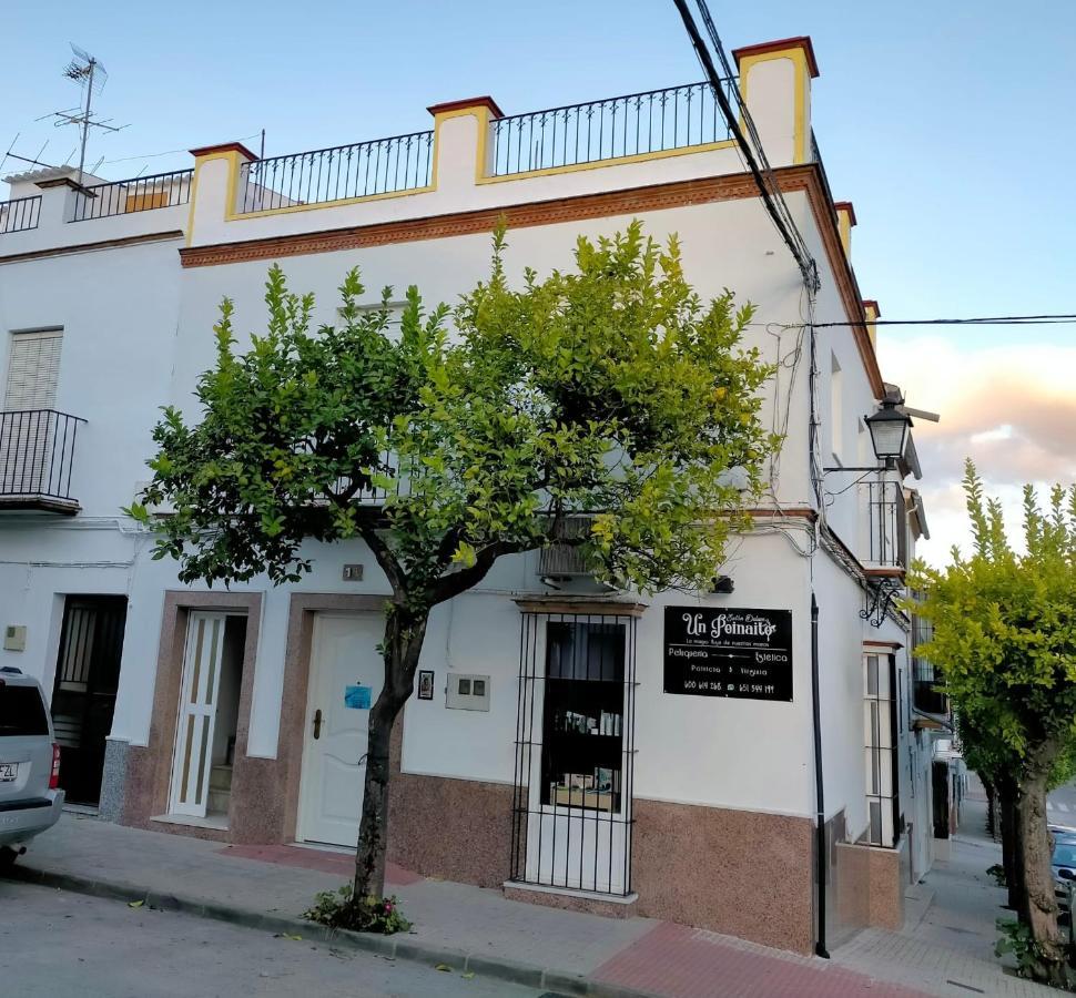 Jacaranda Villa Prado Del Rey Exteriör bild